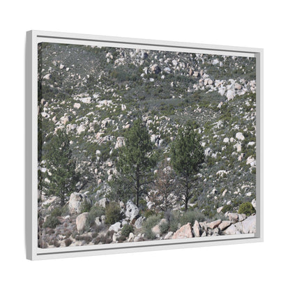 Rocky Hillside with Pine Trees - Unique Stretched Canvas Wall Art - Art By Earth