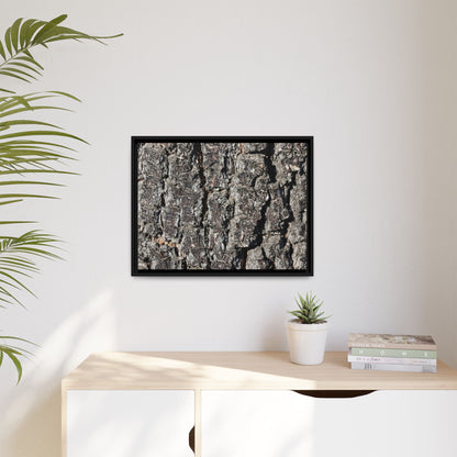 Bark Study in Gray - Unique Stretched Canvas Wall Art - Art By Earth