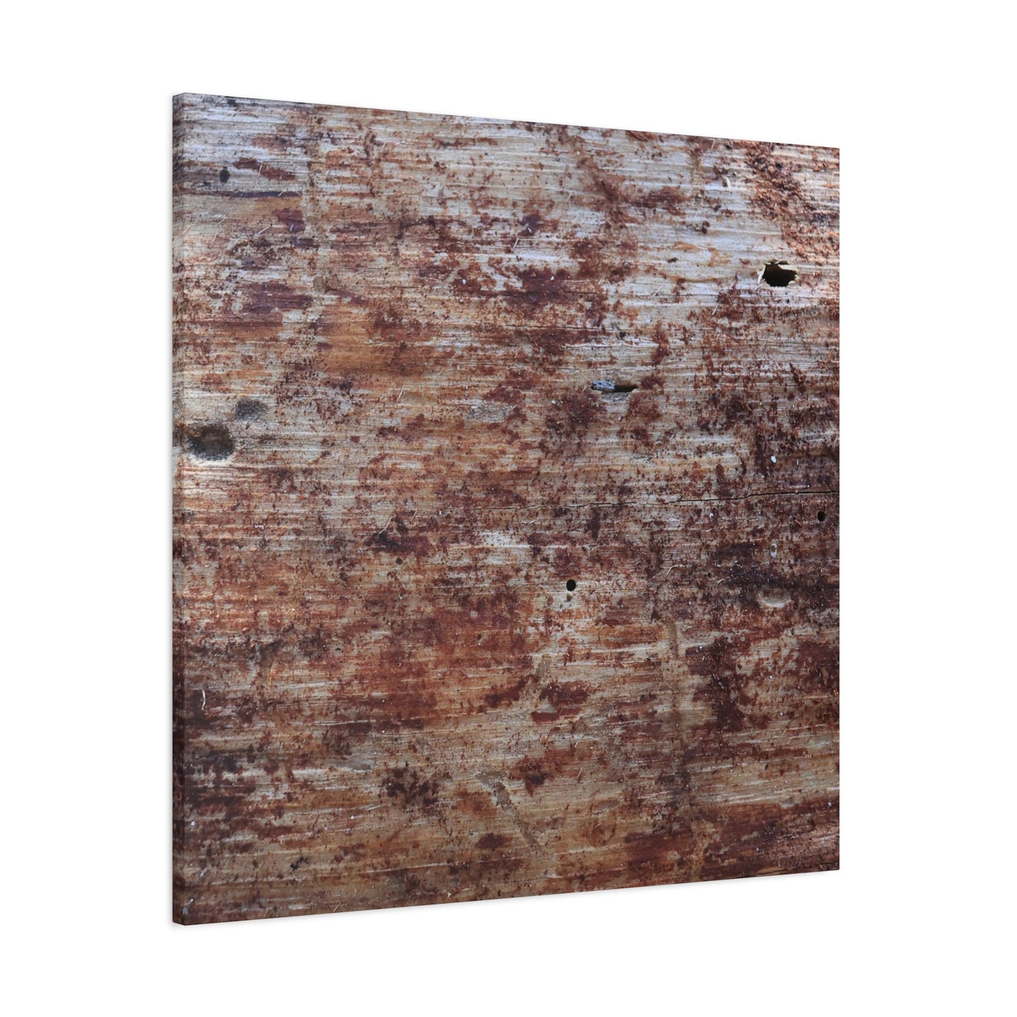 Decaying Memoir - Unique Frameless Canvas Wall Art - Art By Earth