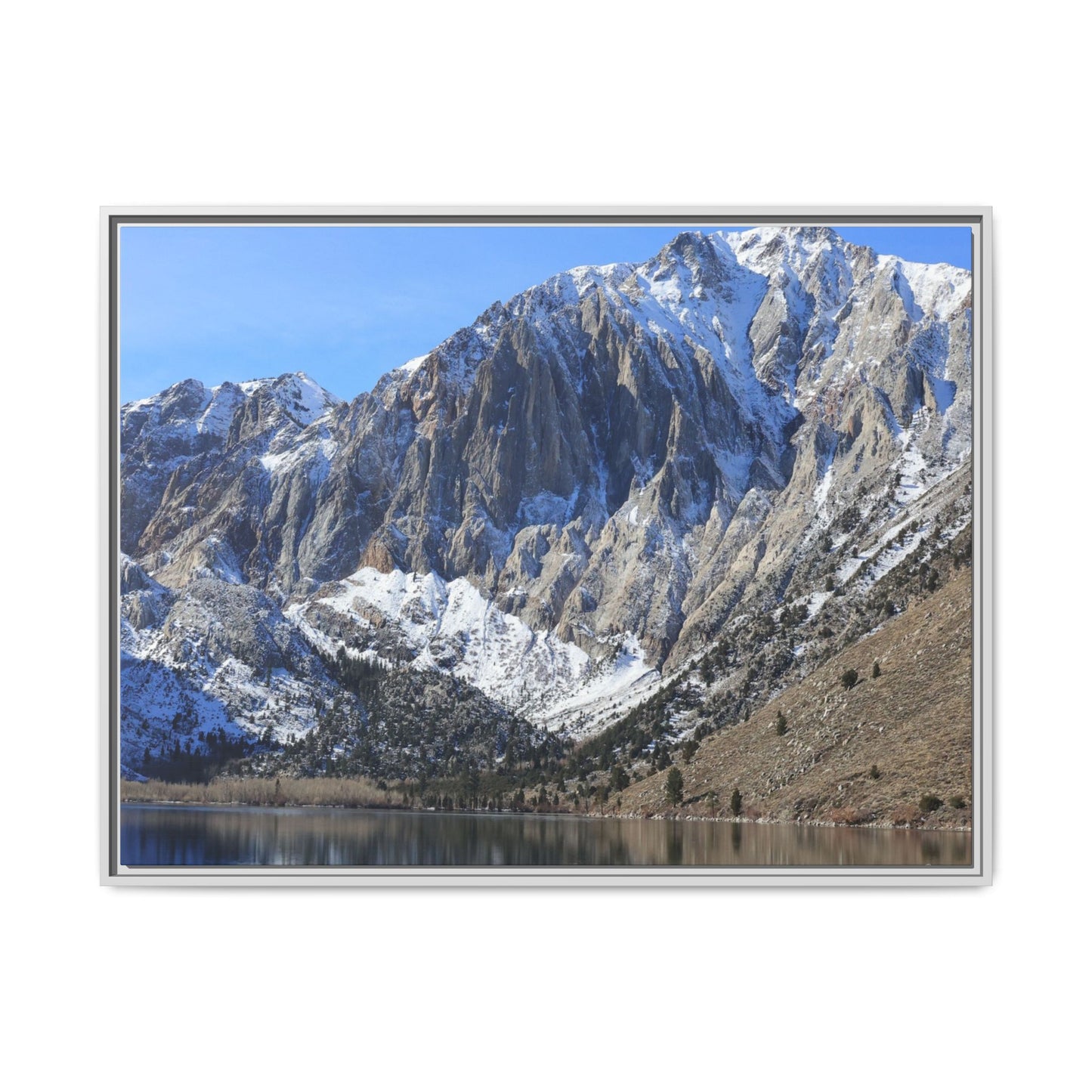 Frozen Reflection - Unique Stretched Canvas Wall Art