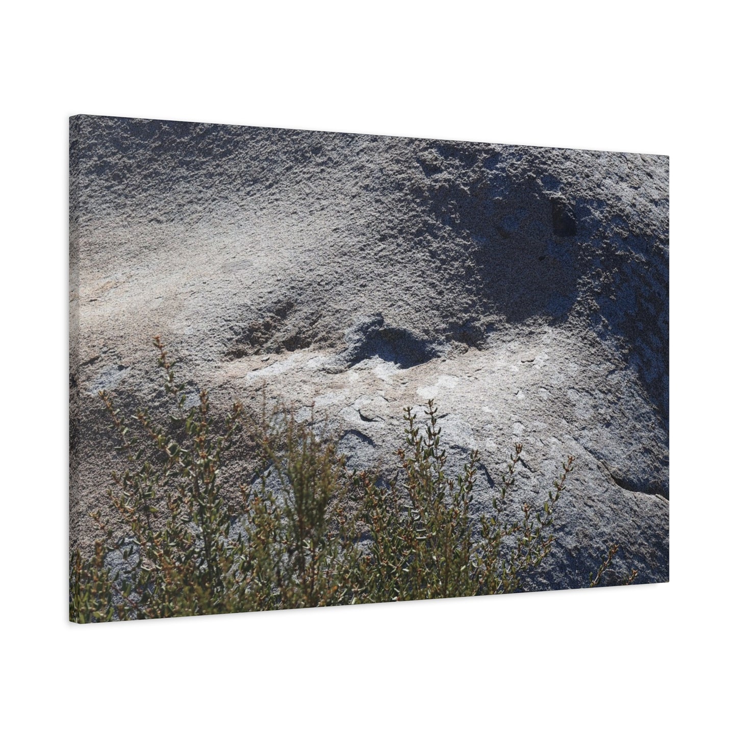 Stone Face in Nature - Unique Frameless Canvas Wall Art
