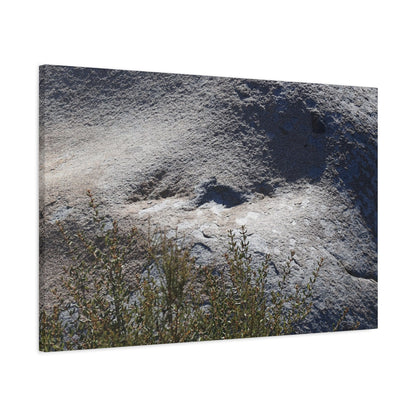 Stone Face in Nature - Unique Frameless Canvas Wall Art