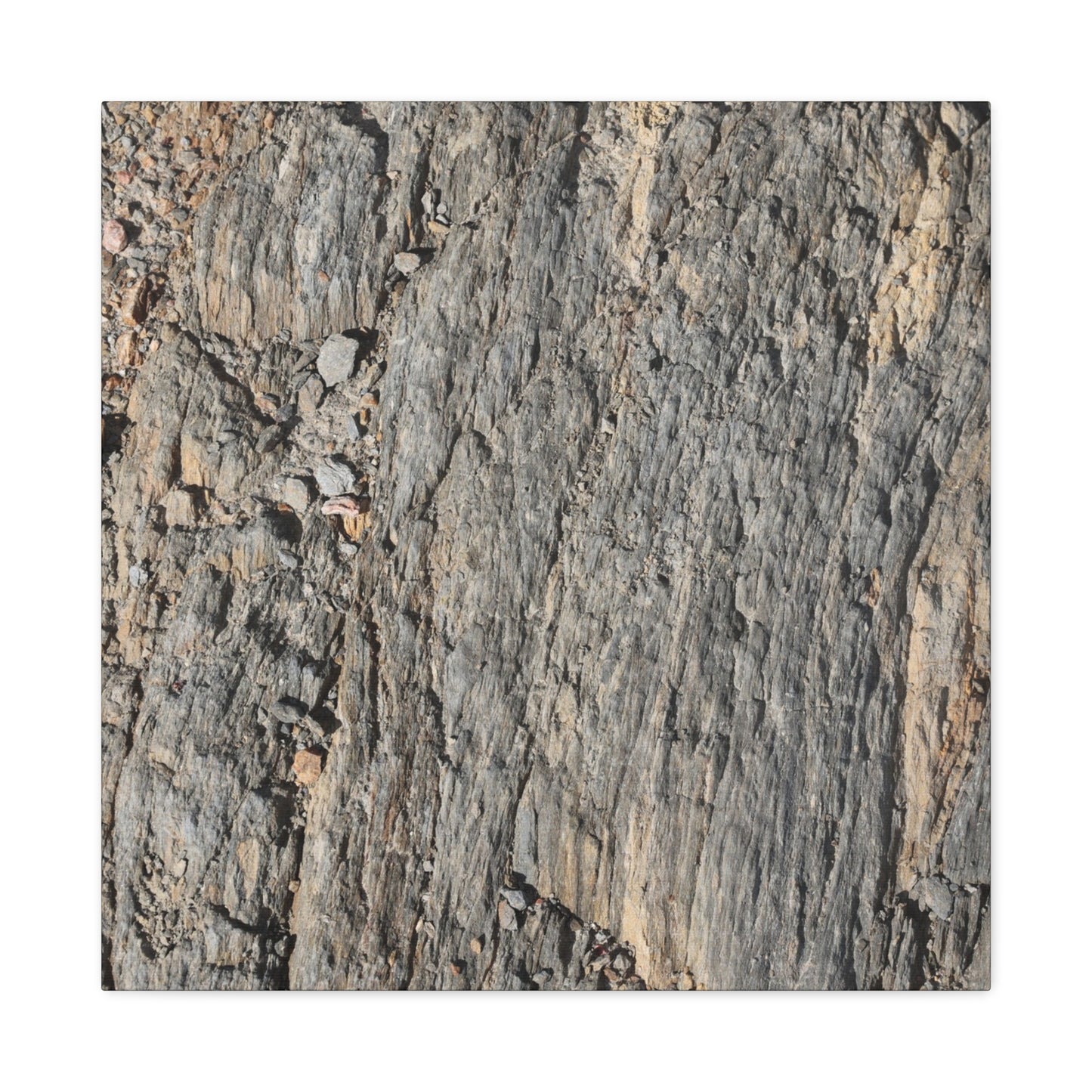 Bark Echoes - Unique Frameless Canvas Wall Art - Art By Earth