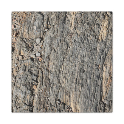 Bark Echoes - Unique Frameless Canvas Wall Art - Art By Earth