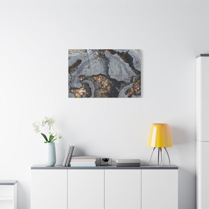 Weathered Woodland Whispers - Unique Frameless Canvas Wall Art - Art By Earth