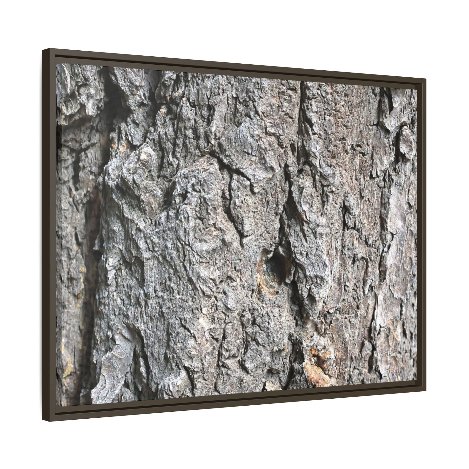 Crusty Exterior - Unique Stretched Canvas Wall Art - Art By Earth