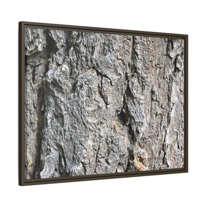 Crusty Exterior - Unique Stretched Canvas Wall Art - Art By Earth