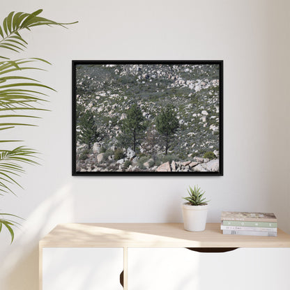 Rocky Hillside with Pine Trees - Unique Stretched Canvas Wall Art - Art By Earth