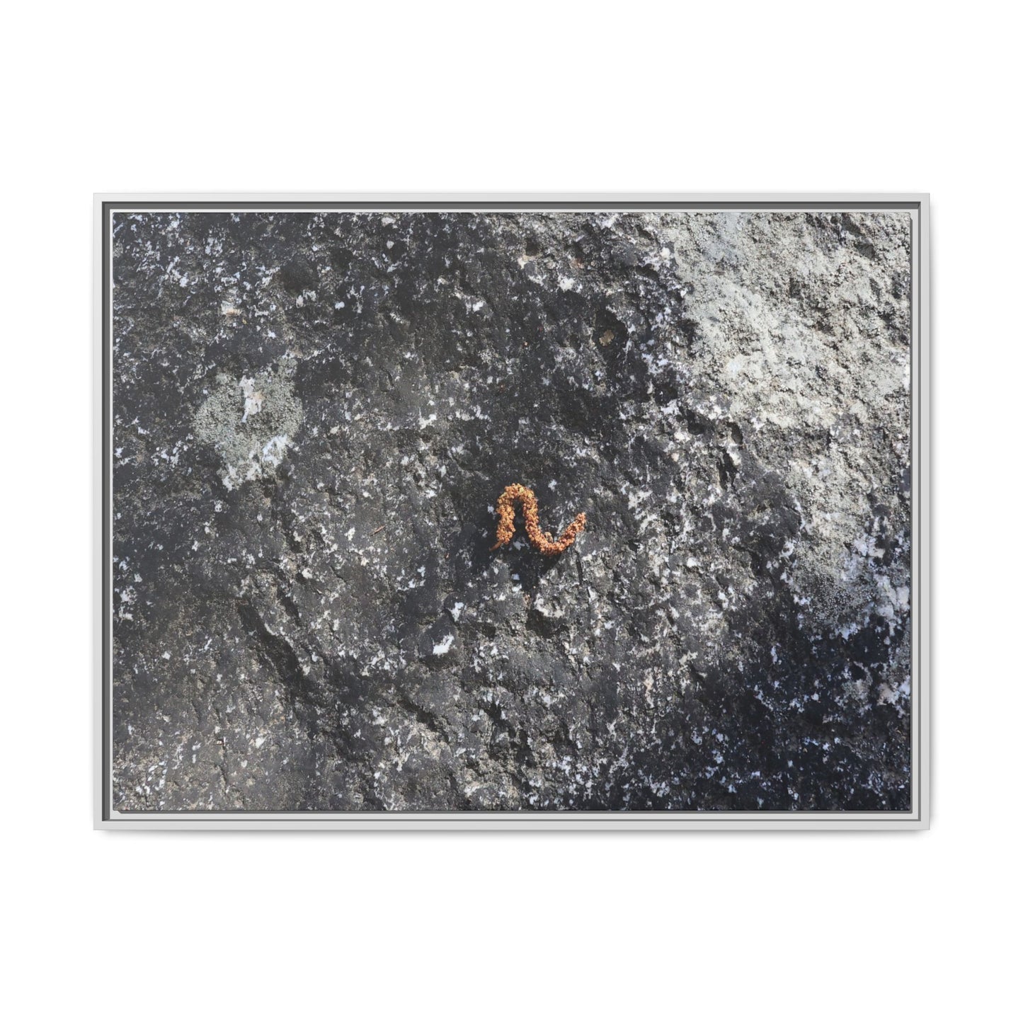 Volcanic Ash and Copper - Unique Stretched Canvas Wall Art - Art By Earth