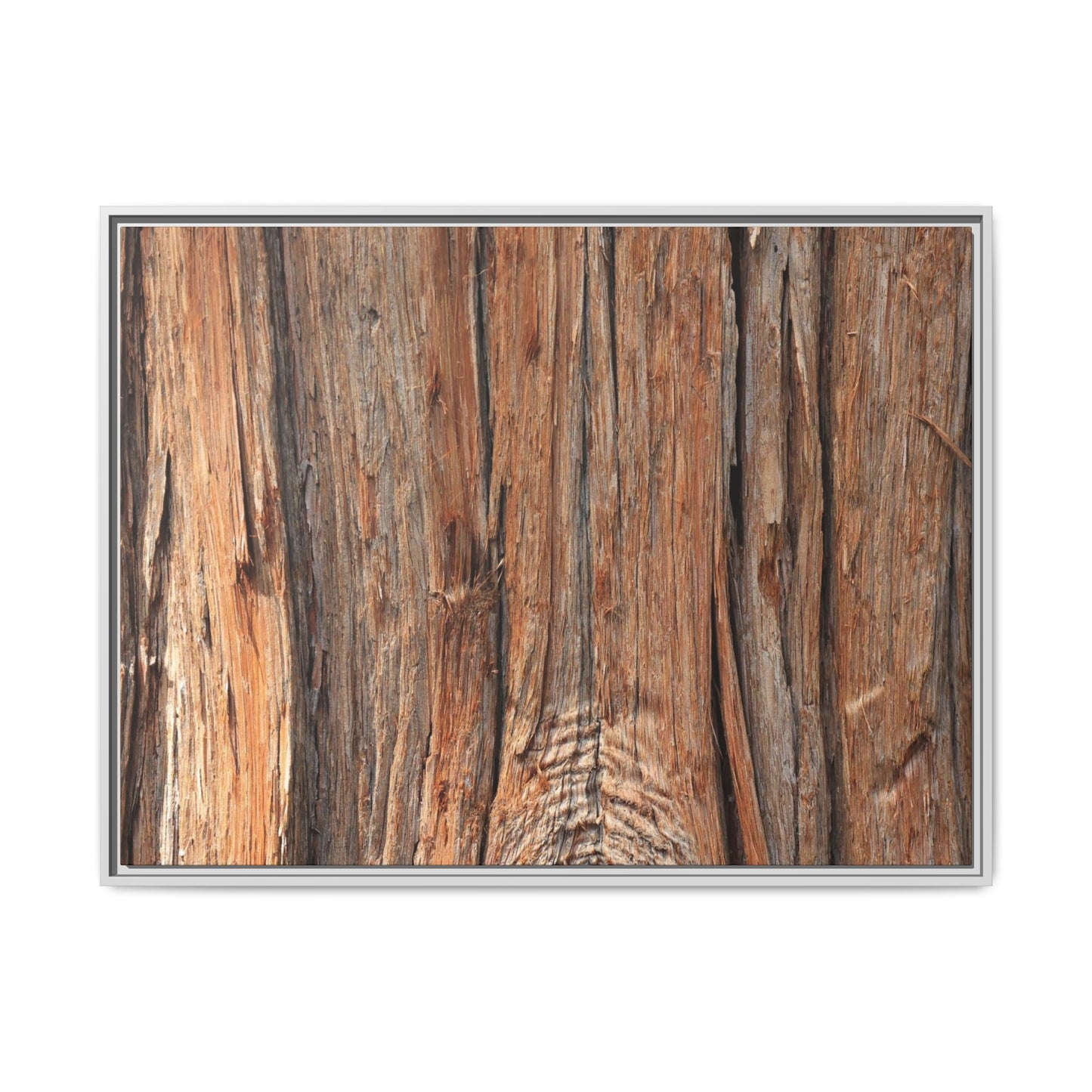 Echoes of Timber - Unique Stretched Canvas Wall Art - Art By Earth