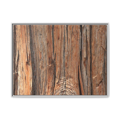 Echoes of Timber - Unique Stretched Canvas Wall Art - Art By Earth
