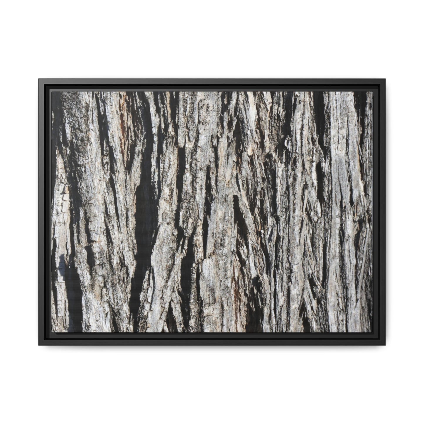 Nature's Abstract - Unique Stretched Canvas Wall Art - Art By Earth