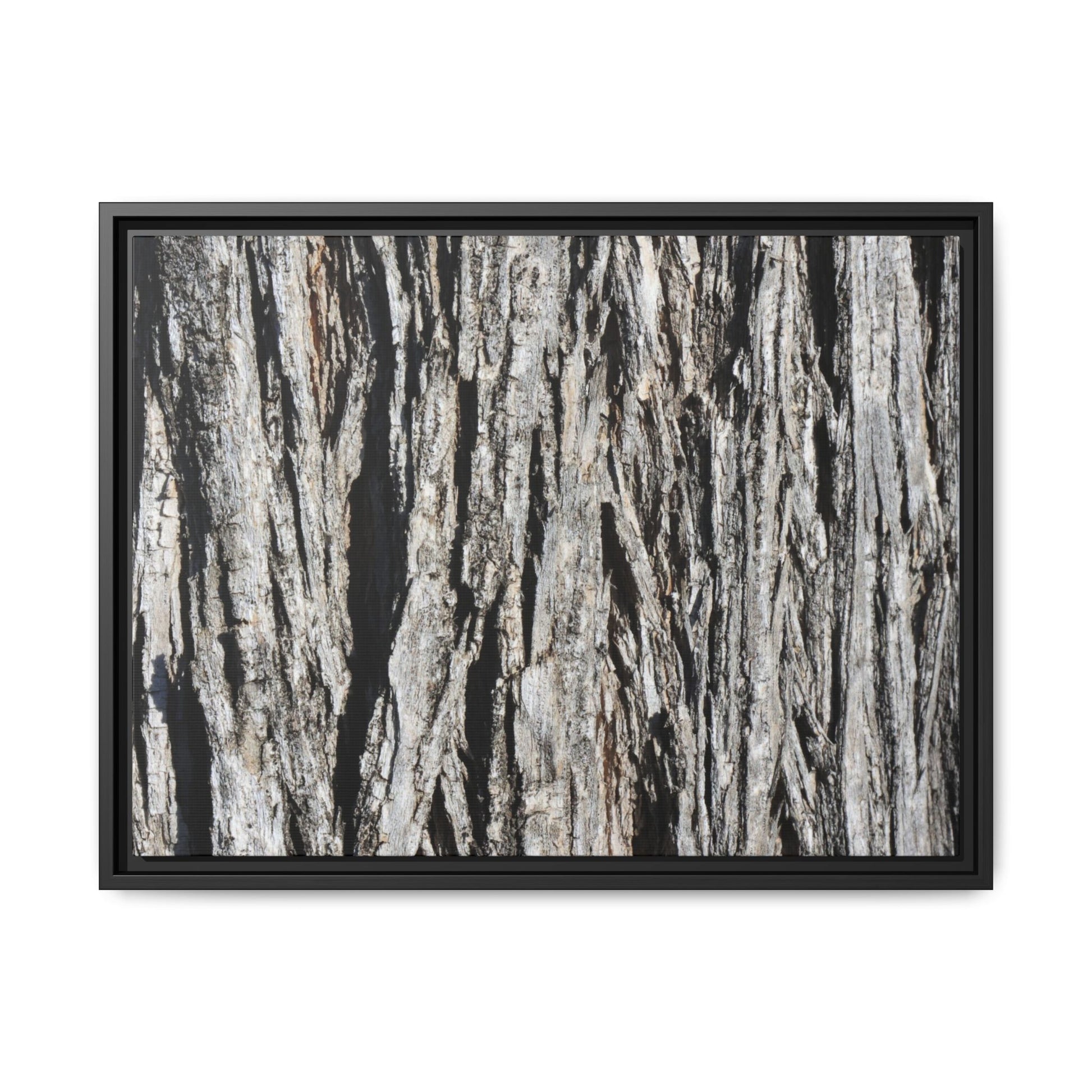 Nature's Abstract - Unique Stretched Canvas Wall Art - Art By Earth