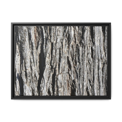 Nature's Abstract - Unique Stretched Canvas Wall Art - Art By Earth