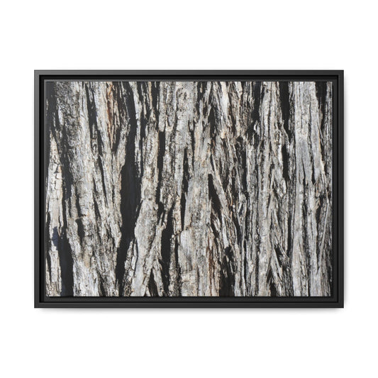 Nature's Abstract - Unique Stretched Canvas Wall Art - Art By Earth