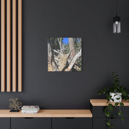 Twisted Roots - Unique Frameless Canvas Wall Art