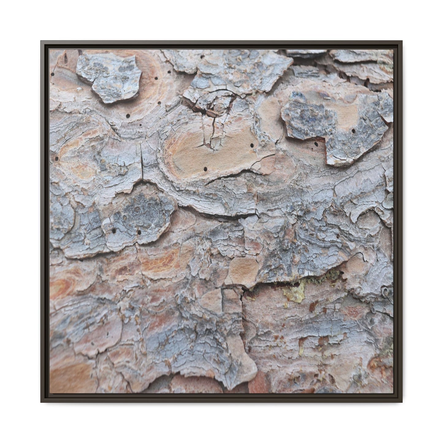 Peeling Memories - Unique Stretched Canvas Wall Art - Art By Earth