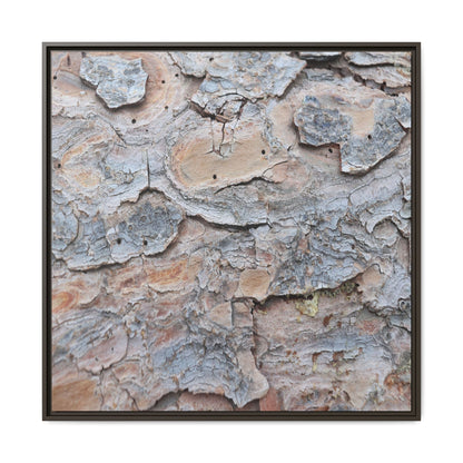 Peeling Memories - Unique Stretched Canvas Wall Art - Art By Earth