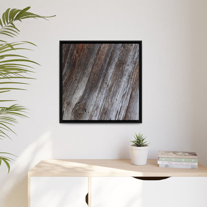 Aged Timber Texture - Unique Stretched Canvas Wall Art - Art By Earth