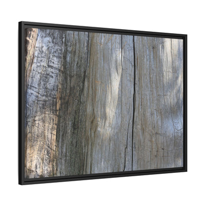 Cracked Timber Texture - Unique Stretched Canvas Wall Art