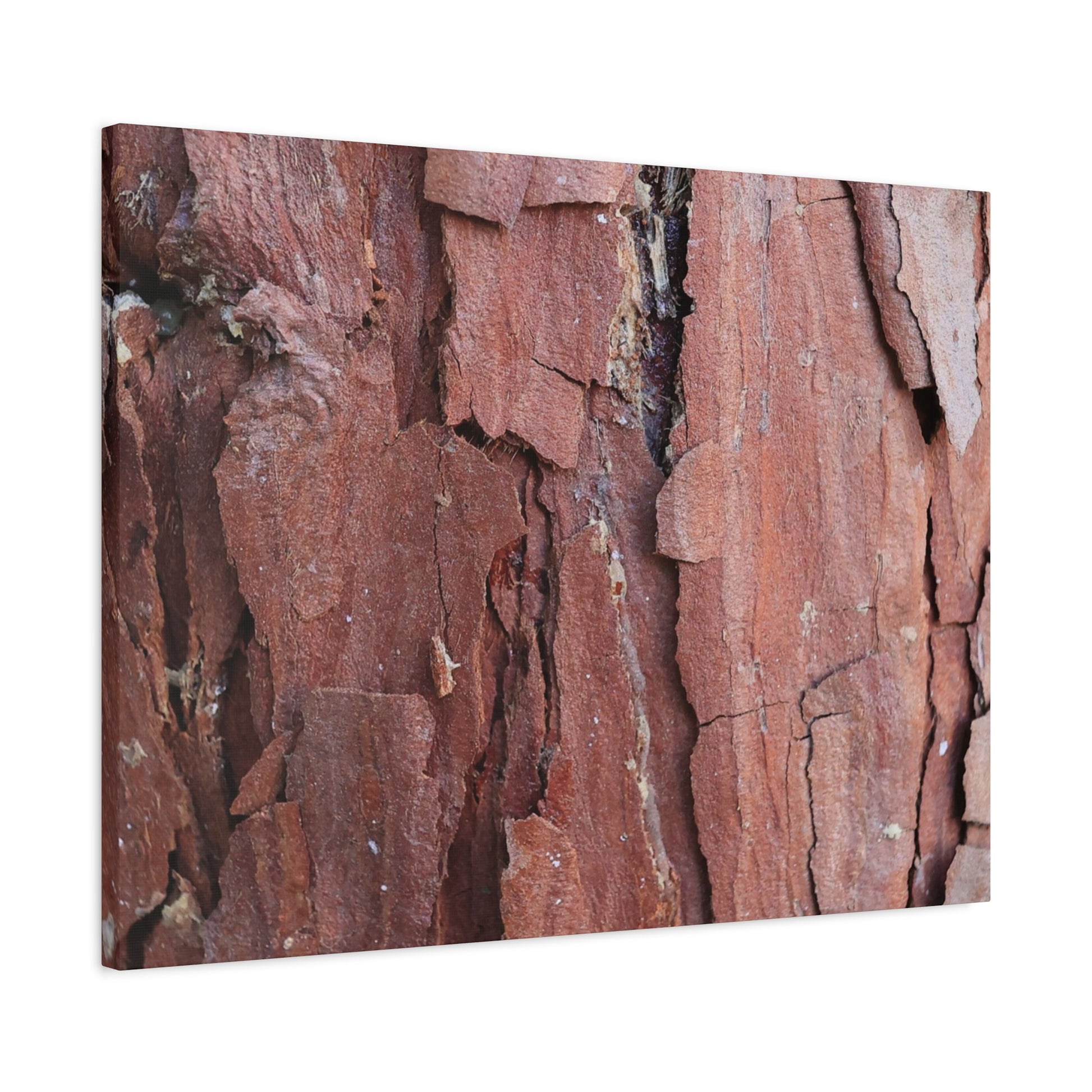 Crimson Fissures - Unique Frameless Canvas Wall Art - Art By Earth