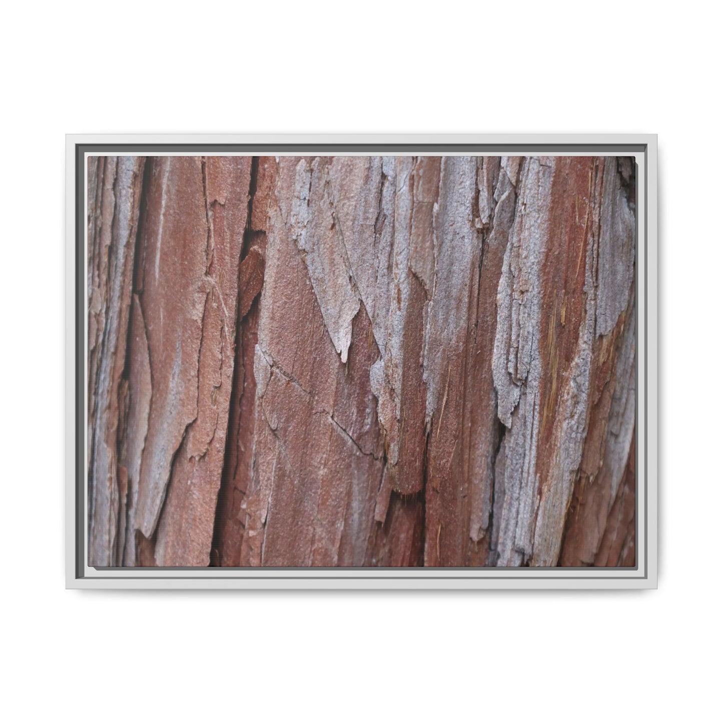 Time and Decay - Unique Stretched Canvas Wall Art - Art By Earth
