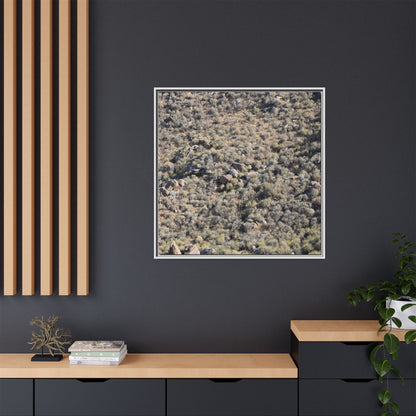 Arid Terrain Study - Unique Stretched Canvas Wall Art - Art By Earth