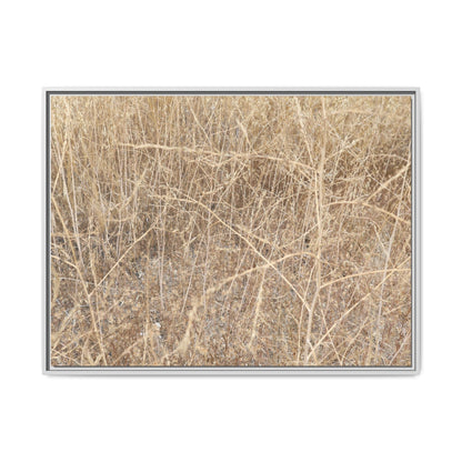 Golden Stalks - Unique Stretched Canvas Wall Art - Art By Earth