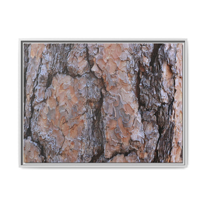Tree Skin Symphony - Unique Stretched Canvas Wall Art - Art By Earth