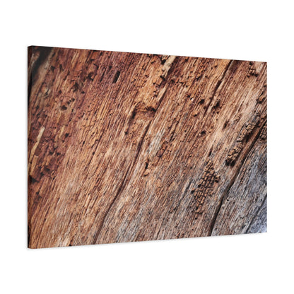 Natural Wood Grain - Unique Frameless Canvas Wall Art - Art By Earth