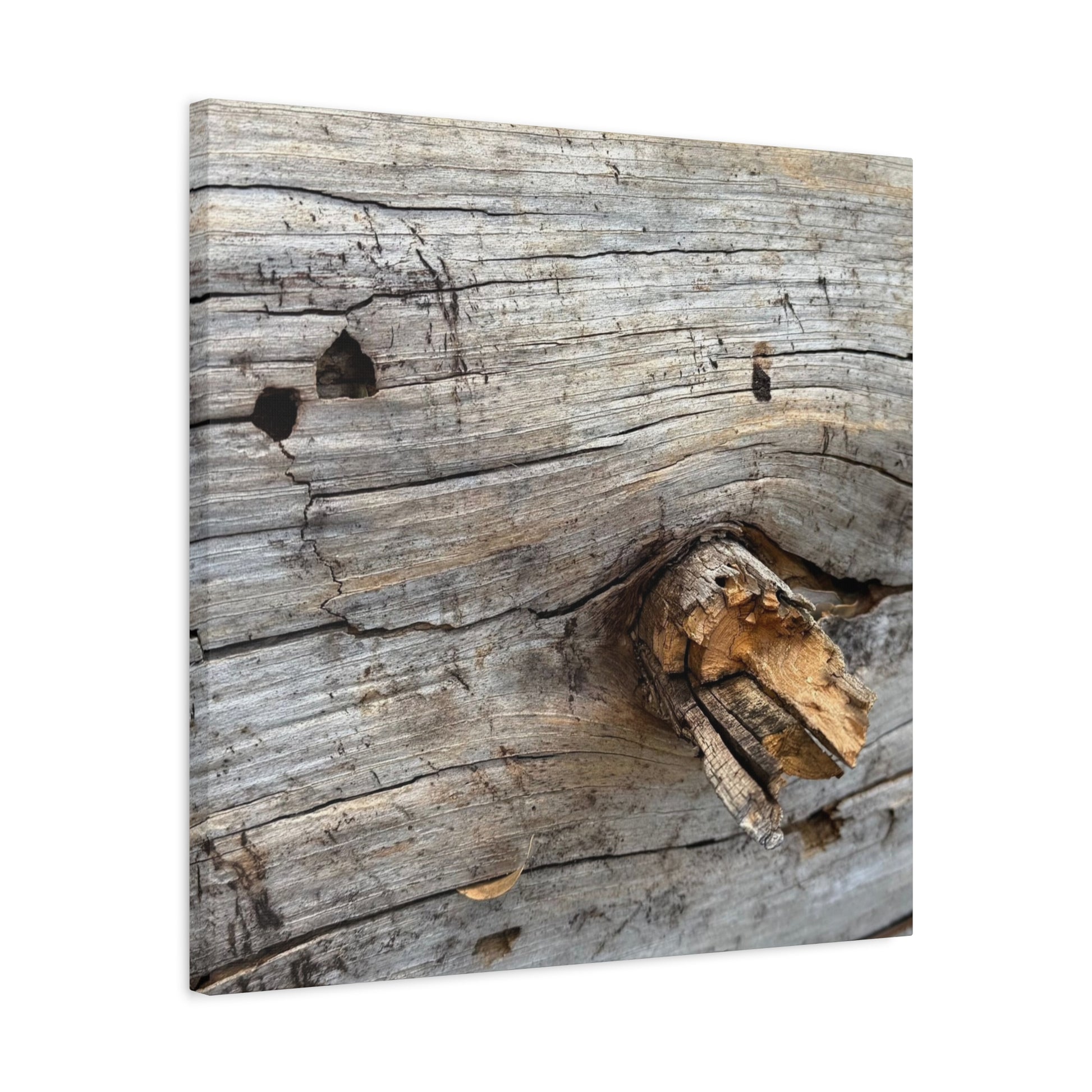 Weathered Wood Portrait - Unique Frameless Canvas Wall Art - Art By Earth