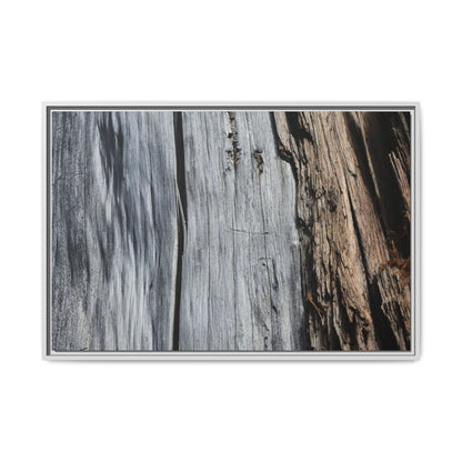 Wood's Lament - Unique Stretched Canvas Wall Art - Art By Earth