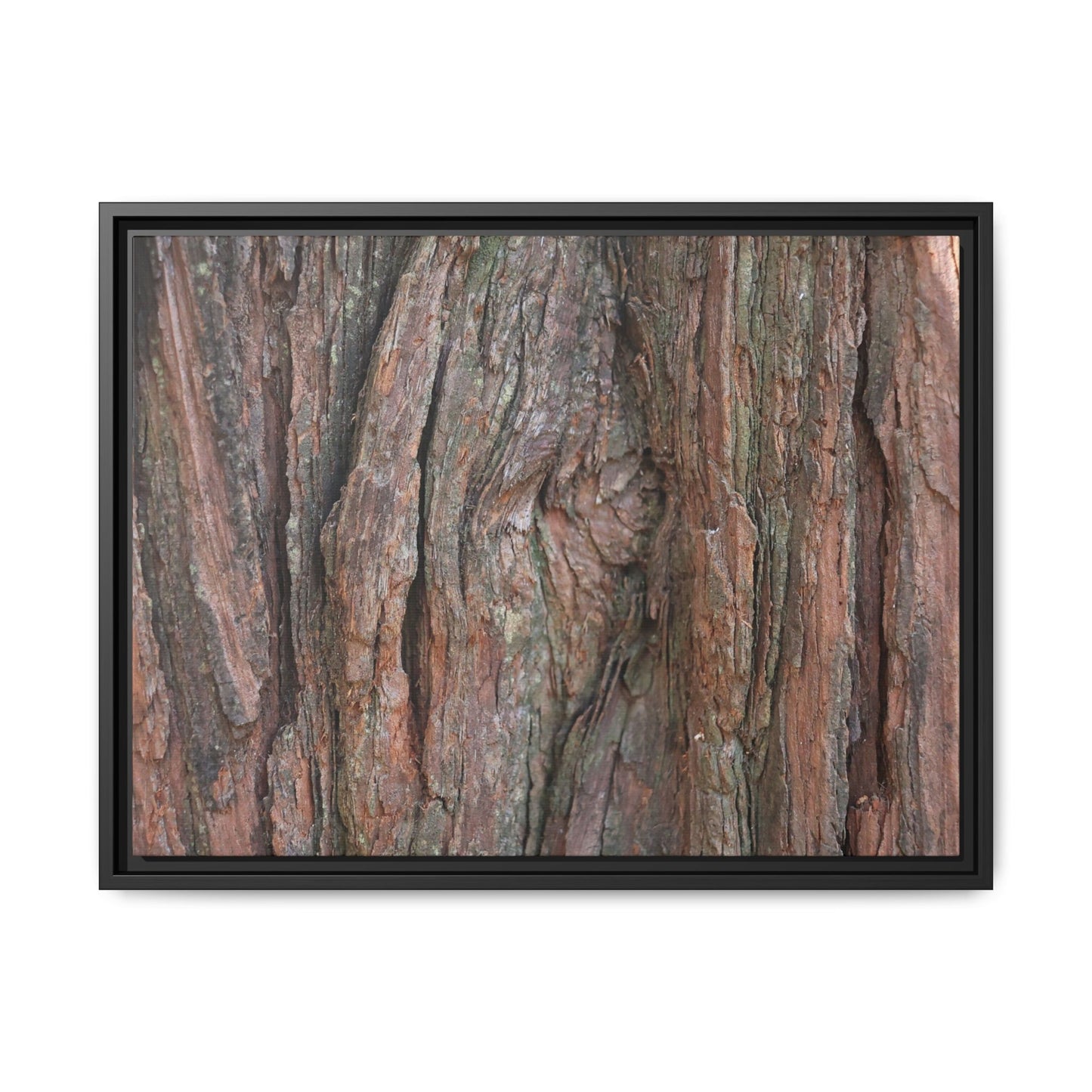 Rugged Textures - Unique Stretched Canvas Wall Art - Art By Earth