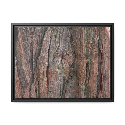 Rugged Textures - Unique Stretched Canvas Wall Art - Art By Earth