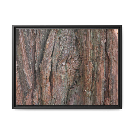 Rugged Textures - Unique Stretched Canvas Wall Art - Art By Earth