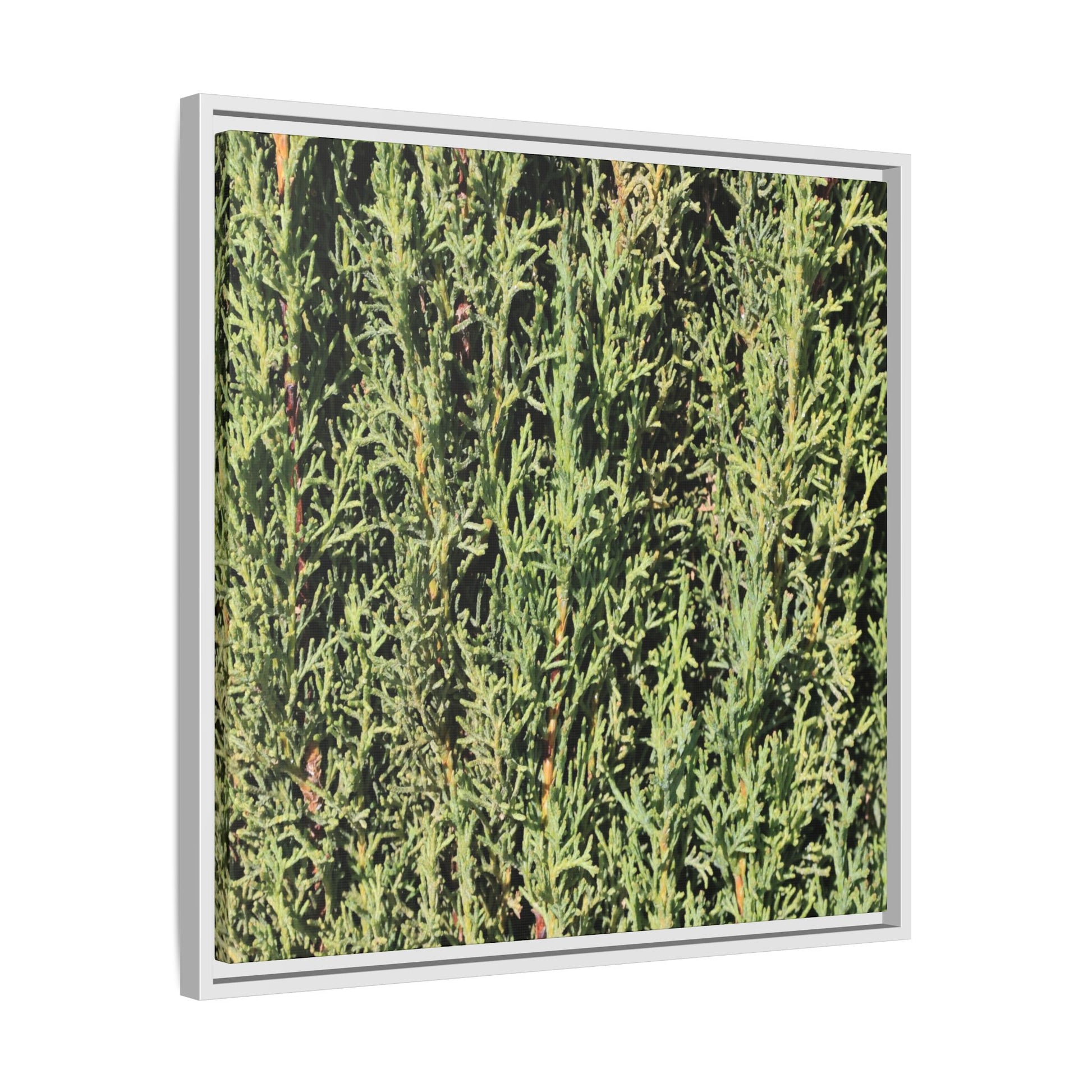 Emerald Labyrinth - Unique Stretched Canvas Wall Art - Art By Earth