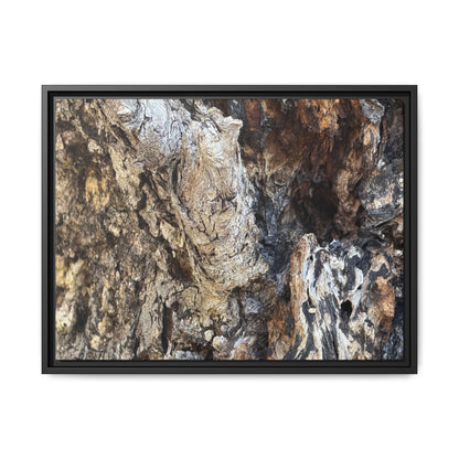 Ancient Tree Texture - Unique Stretched Canvas Wall Art - Art By Earth