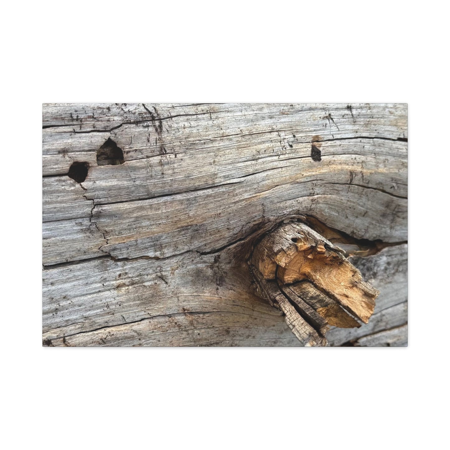 Weathered Wood Portrait - Unique Frameless Canvas Wall Art - Art By Earth