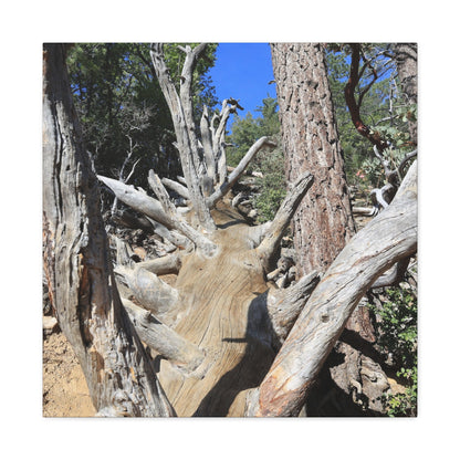 Twisted Roots - Unique Frameless Canvas Wall Art