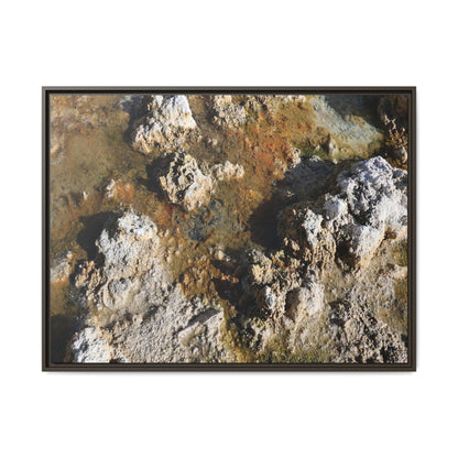 Textural Metamorphosis - Unique Stretched Canvas Wall Art