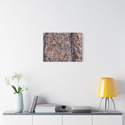 Rugged Bark Landscape - Unique Frameless Canvas Wall Art - Art By Earth