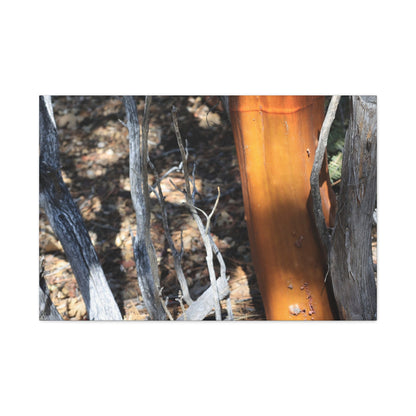 Burnt Forest Remnants - Unique Frameless Canvas Wall Art