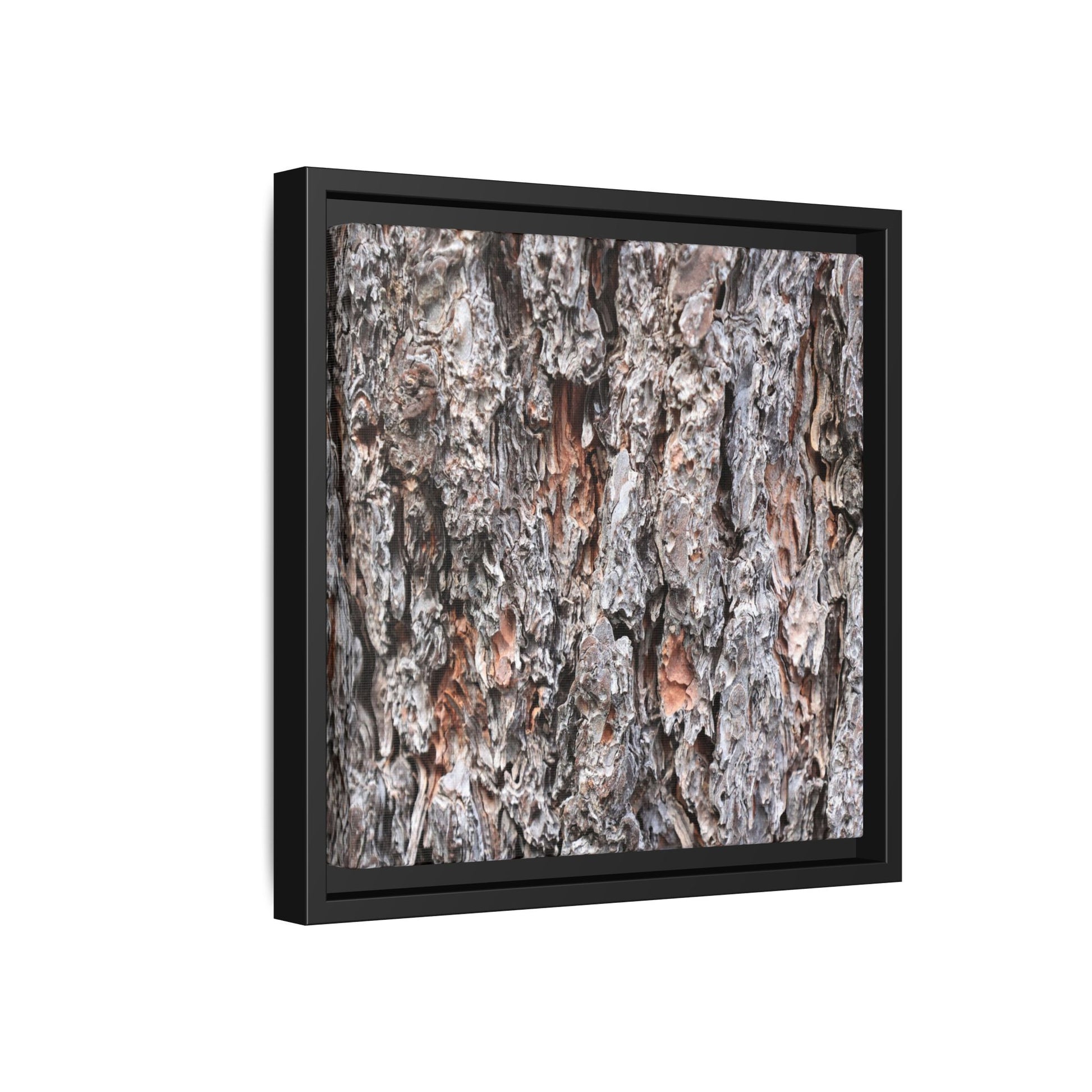 Rugged Cortex - Unique Stretched Canvas Wall Art - Art By Earth