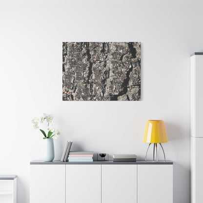 Cracked Skin of Earth - Unique Frameless Canvas Wall Art - Art By Earth