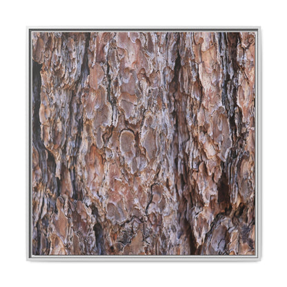 Woody Layers - Unique Stretched Canvas Wall Art - Art By Earth