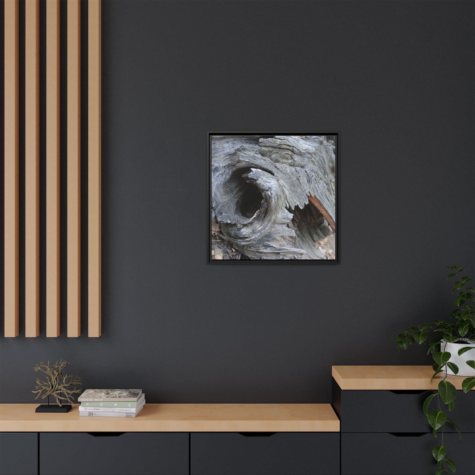 Bark's Labyrinth - Unique Stretched Canvas Wall Art - Art By Earth