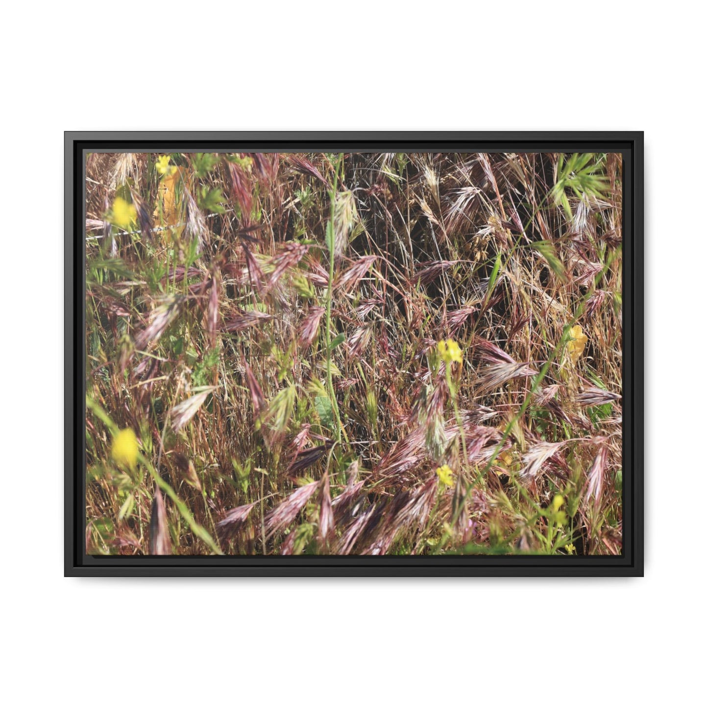 Autumn Meadow - Unique Stretched Canvas Wall Art - Art By Earth