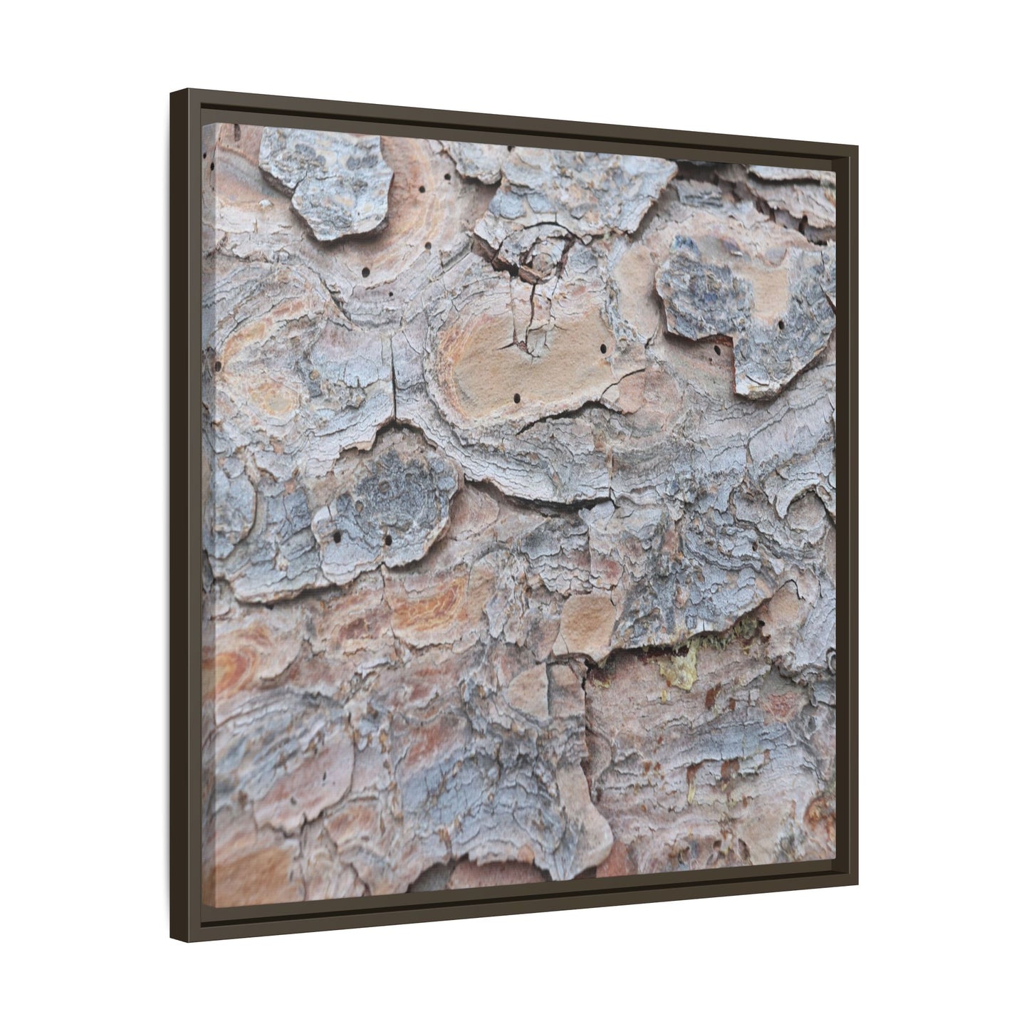 Peeling Memories - Unique Stretched Canvas Wall Art - Art By Earth