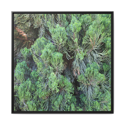 Verdant Whispers - Unique Stretched Canvas Wall Art - Art By Earth