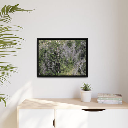 Forest Decline - Unique Stretched Canvas Wall Art